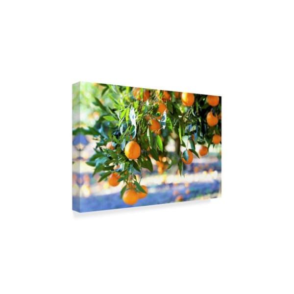 Incredi 'Citrus Oranges' Canvas Art,16x24